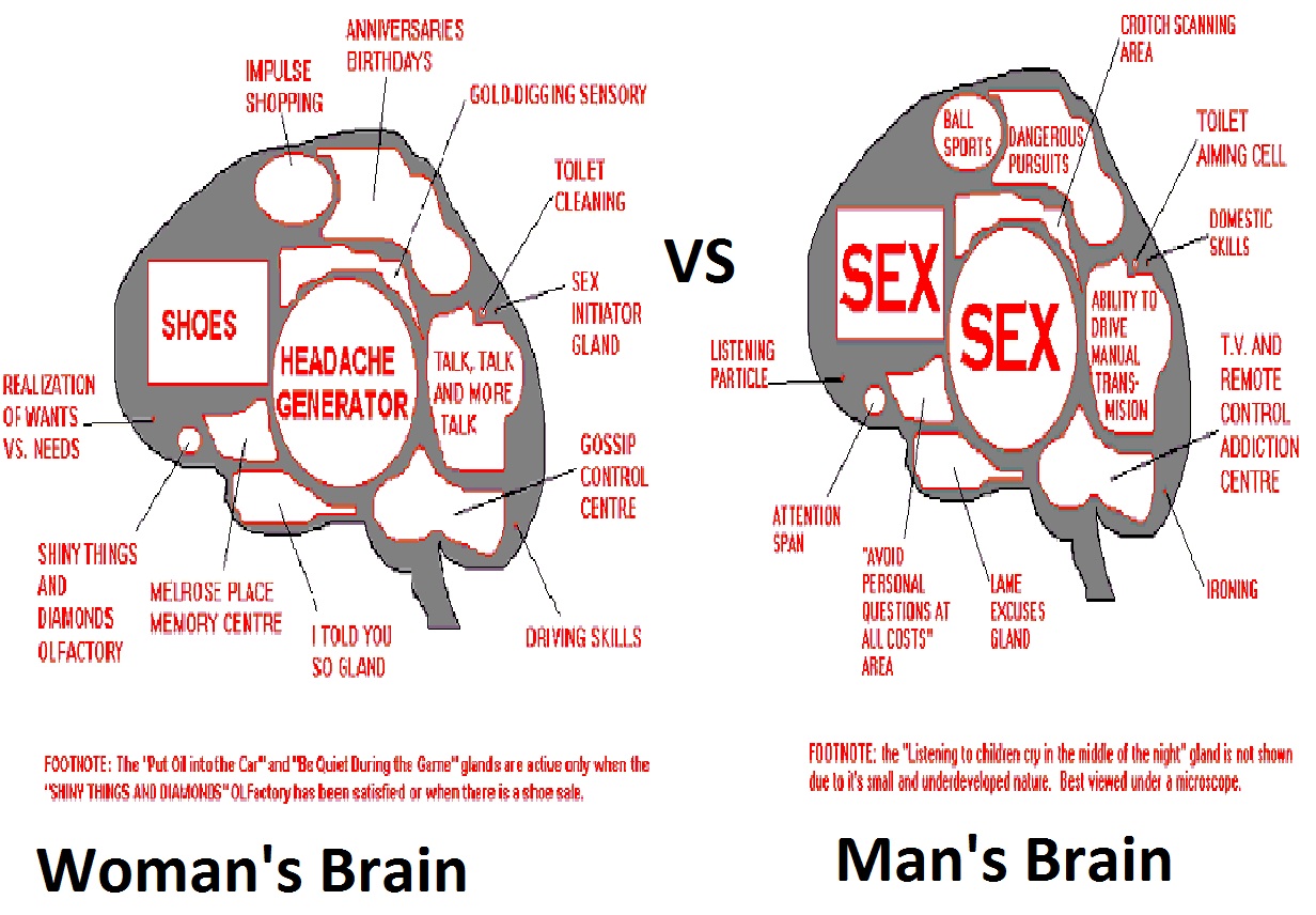 man-vs-woman-brain
